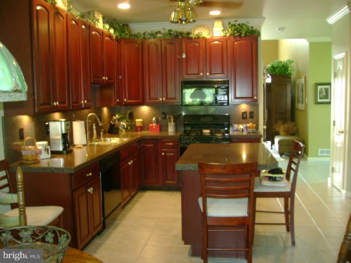 4541 Old Oak Road Doylestown, PA 18902 - Photo 5 of 22 Kitchen