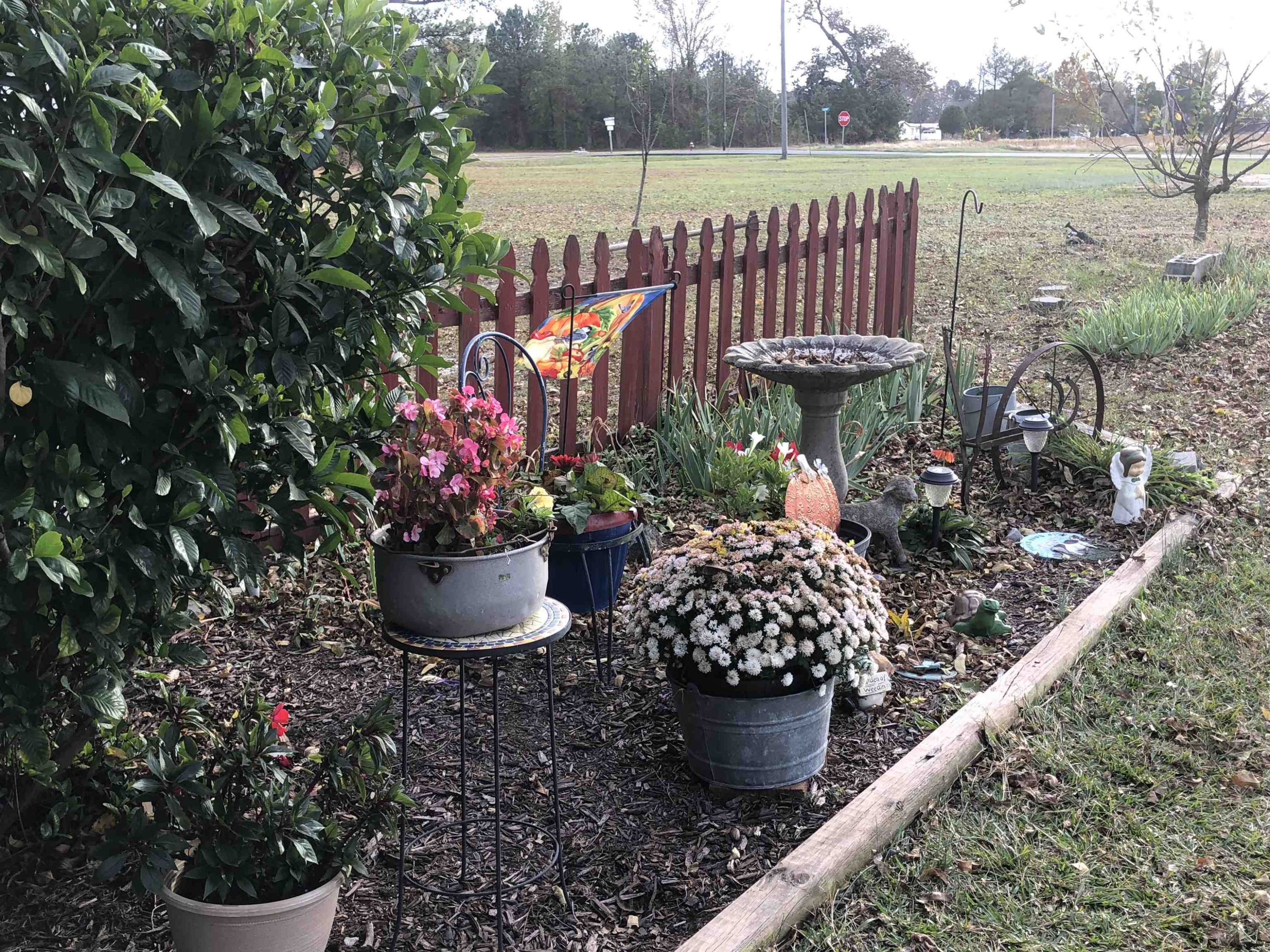 6332 Harper House Road Newton Grove, NC 28366 - Photo 9 of 60 Photo 9