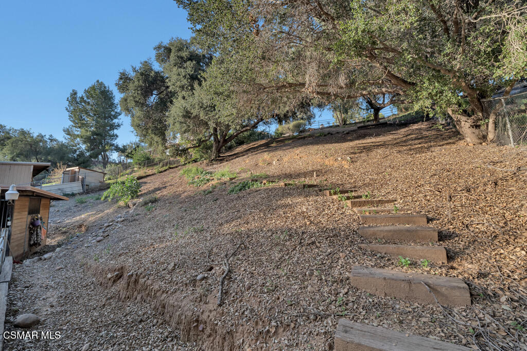 1278 Rambling Road Simi Valley, CA 93065 - Photo 44 of 76 a view of a yard with a tree