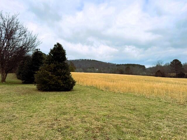 573 South Judd Road Decatur, TN 37322 - Photo 36 of 37 judd winter 2