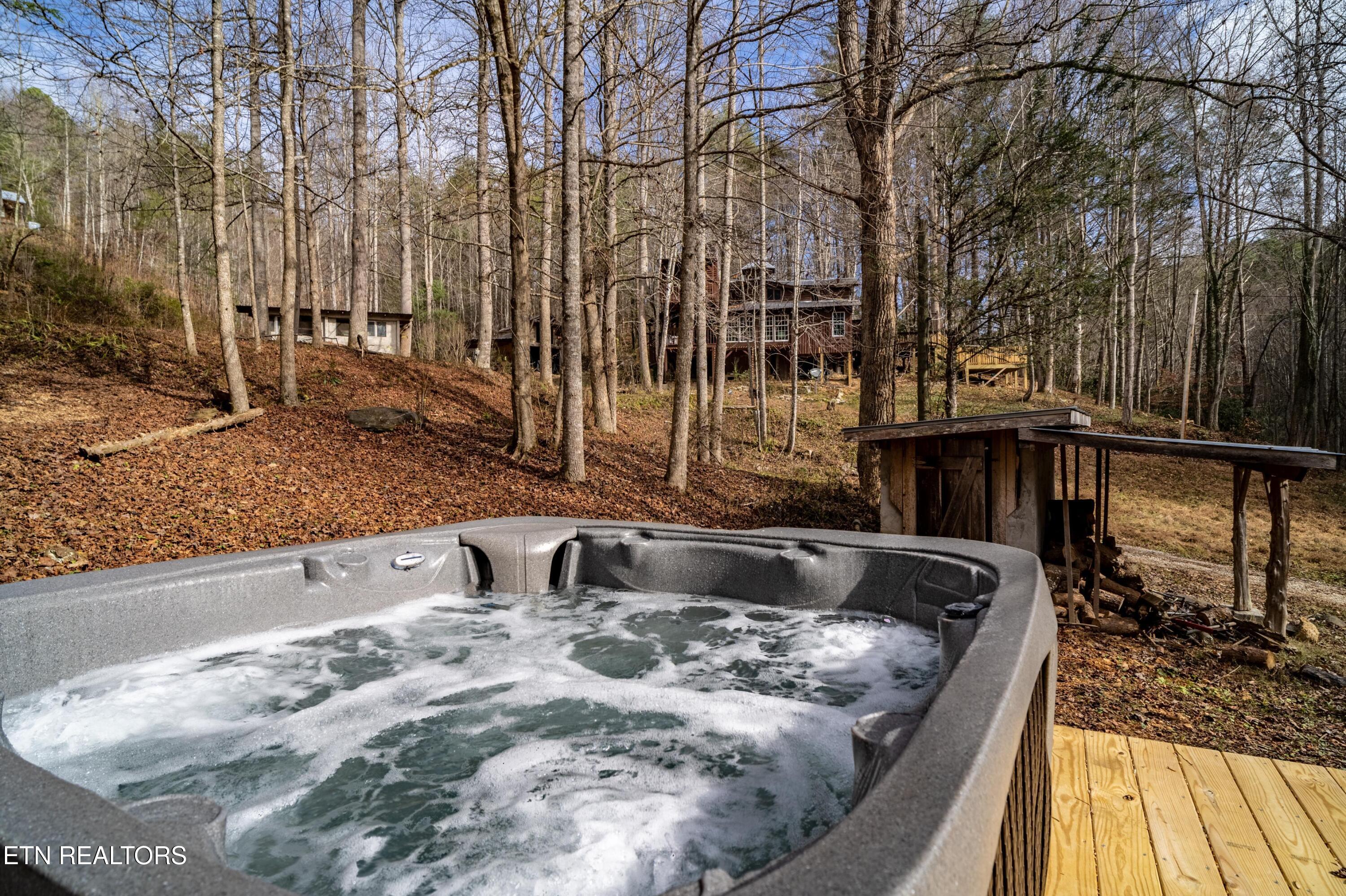 915 Newcomb Branch Way Cosby, TN 37722 - Photo 20 of 31 A7305199-HDR