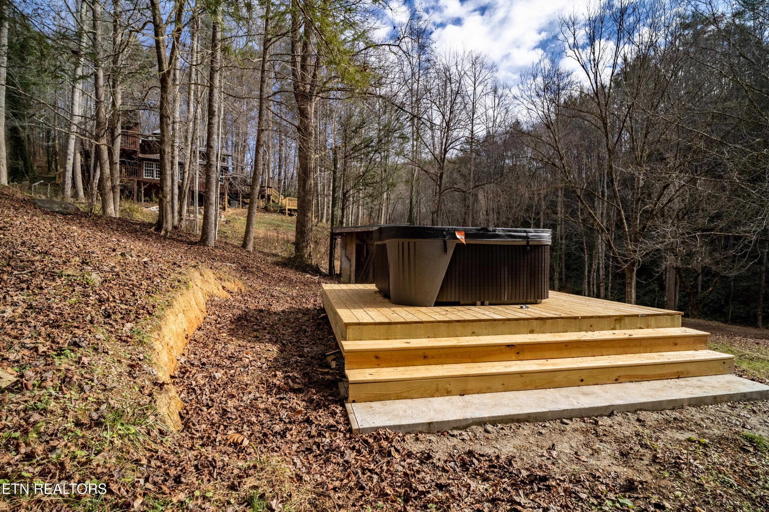 915 Newcomb Branch Way Cosby, TN 37722 - Photo 21 of 31 A7305204-HDR