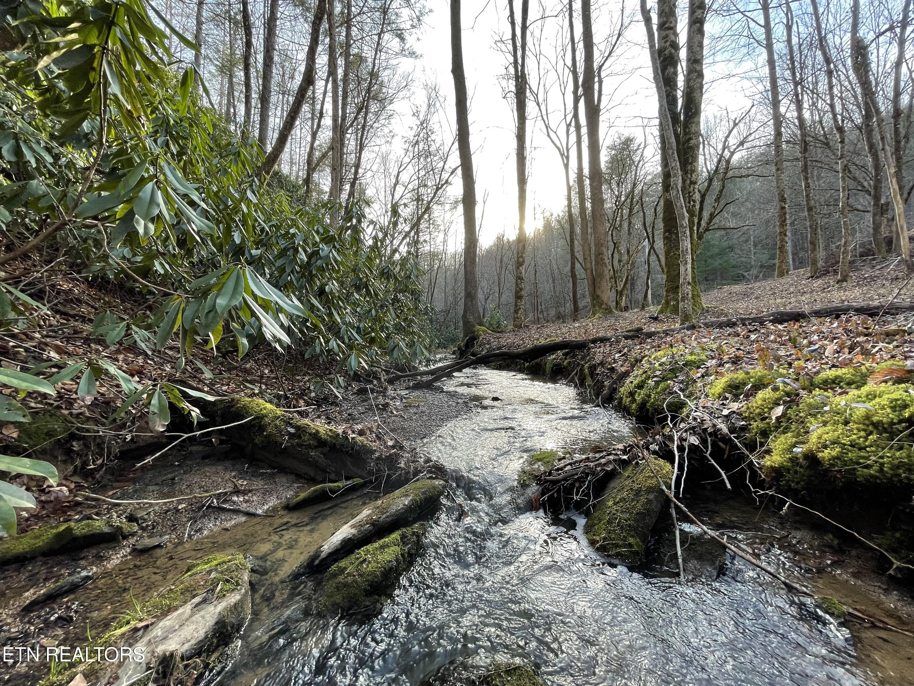 915 Newcomb Branch Way Cosby, TN 37722 - Photo 25 of 31 Creek