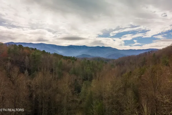 $320,000 | 915 Newcomb Branch Way, Cosby, TN 37722