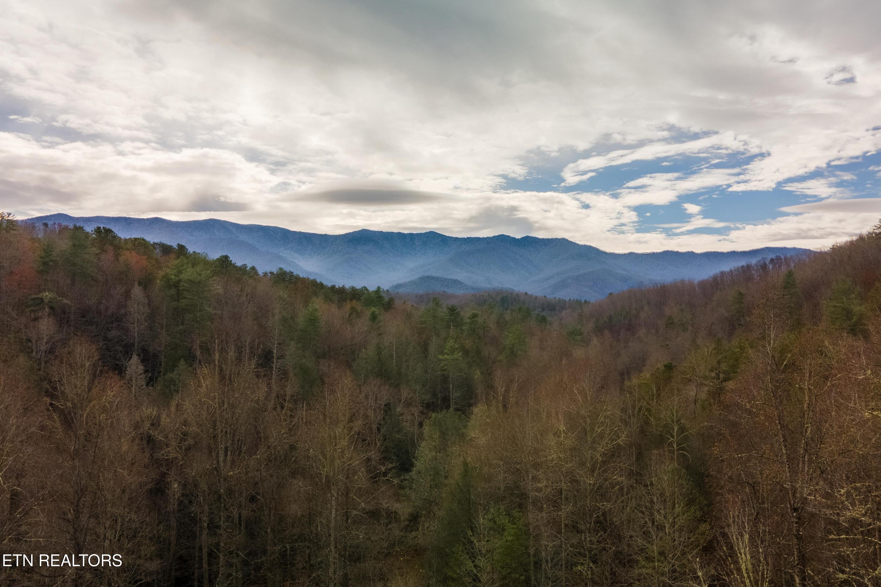 915 Newcomb Branch Way Cosby, TN 37722 - Photo 26 of 31 DJI_0286-HDR