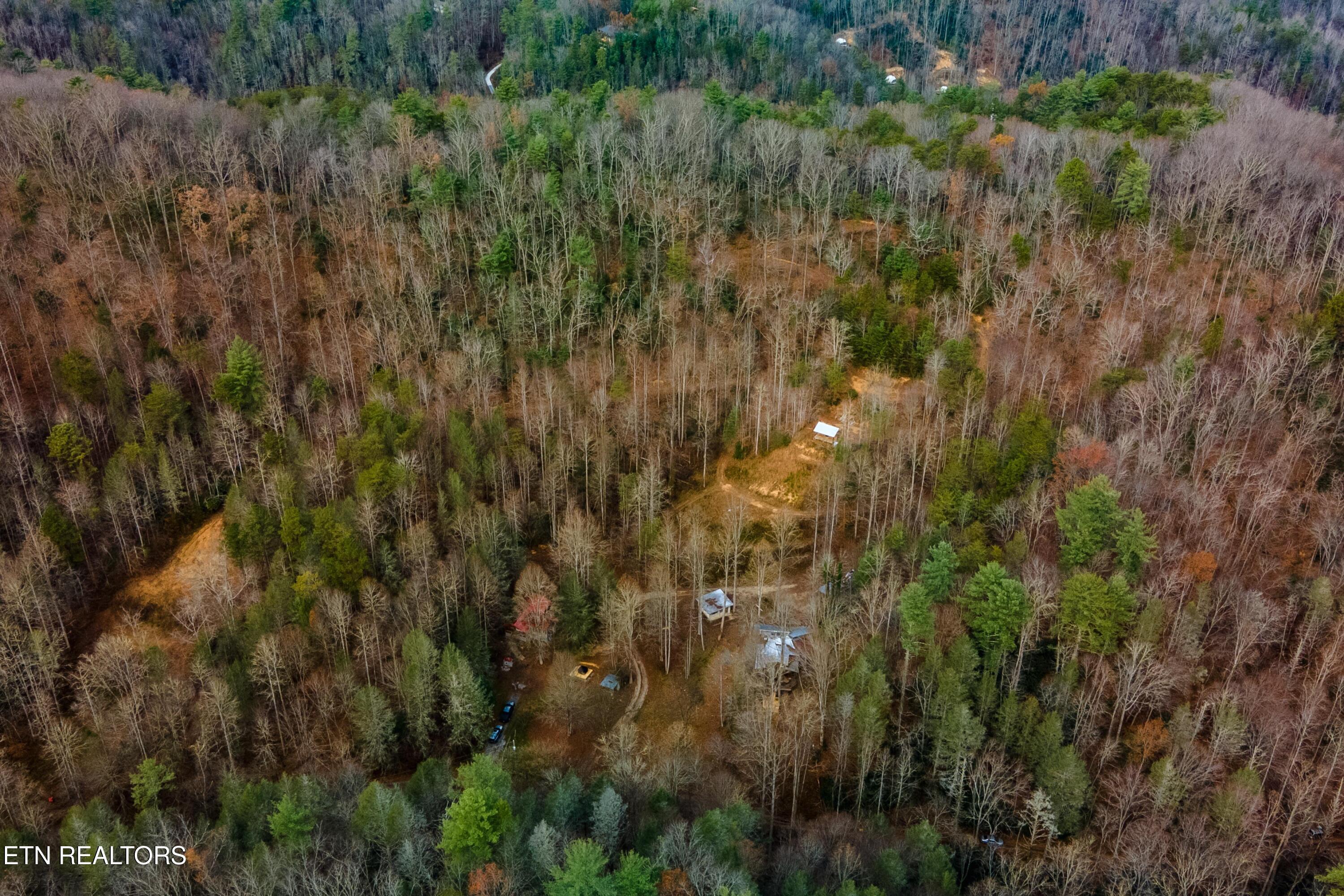915 Newcomb Branch Way Cosby, TN 37722 - Photo 29 of 31 DJI_0326-HDR