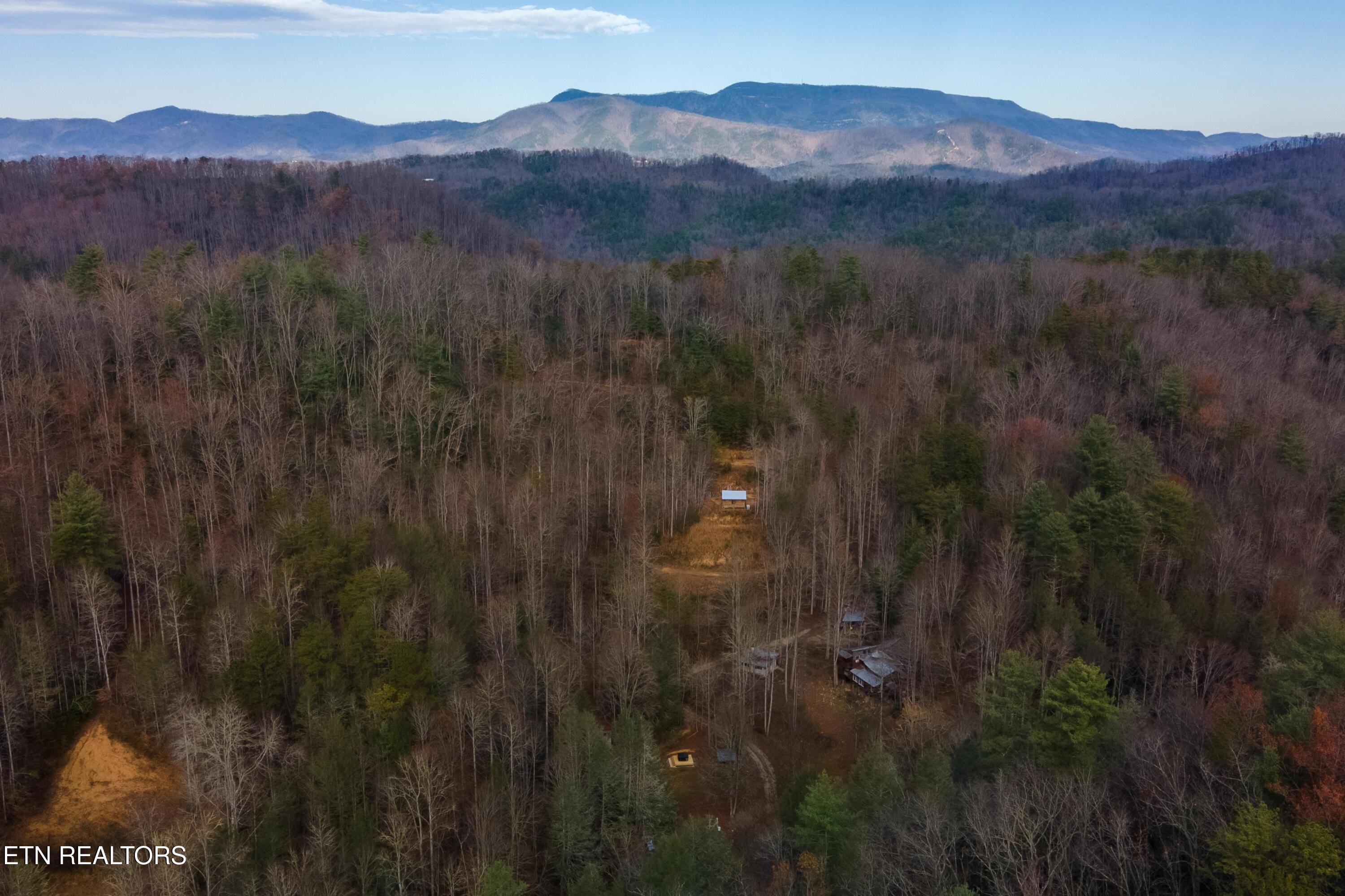 915 Newcomb Branch Way Cosby, TN 37722 - Photo 30 of 31 DJI_0331-HDR