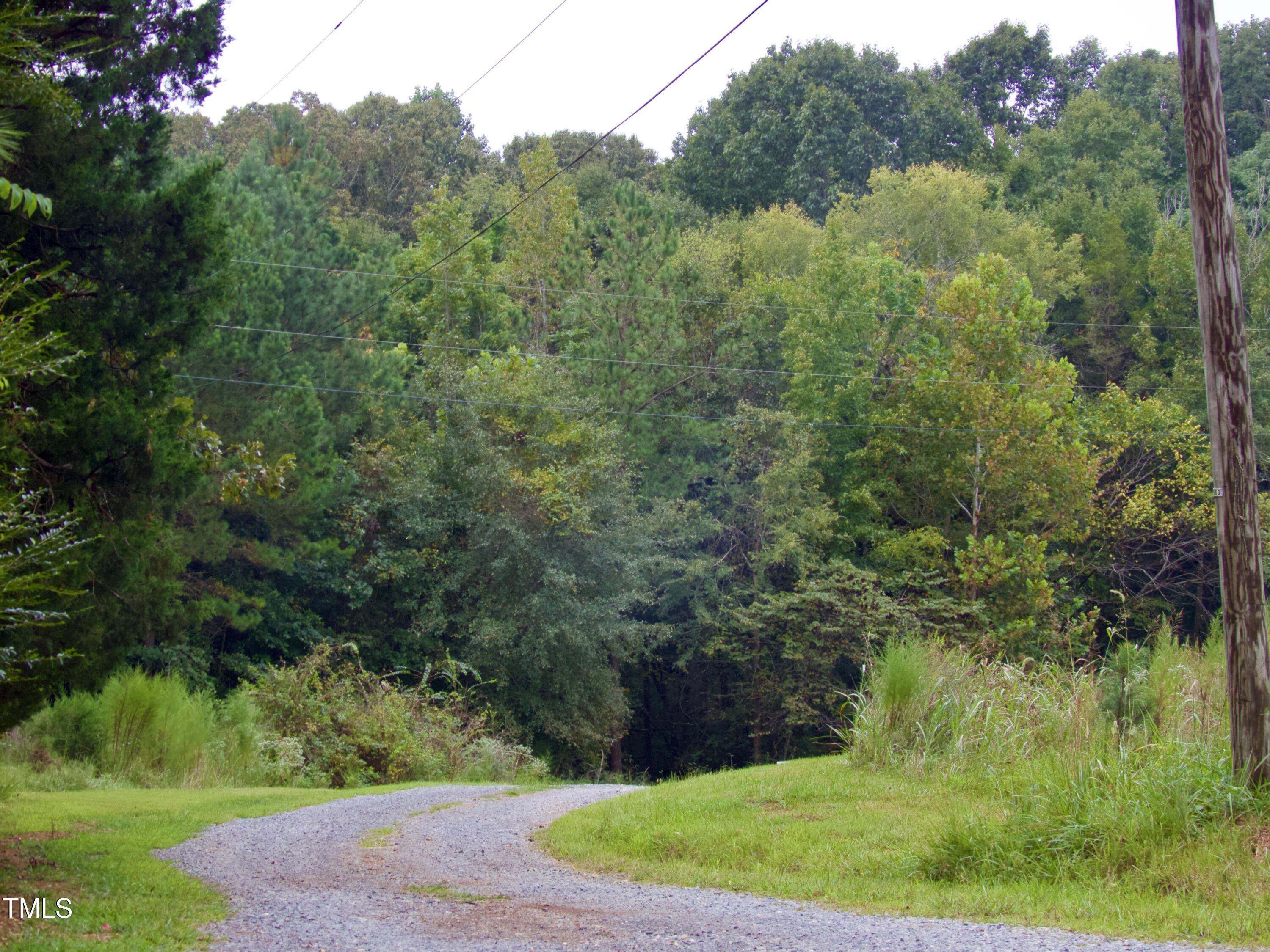 a view of a lush green forest