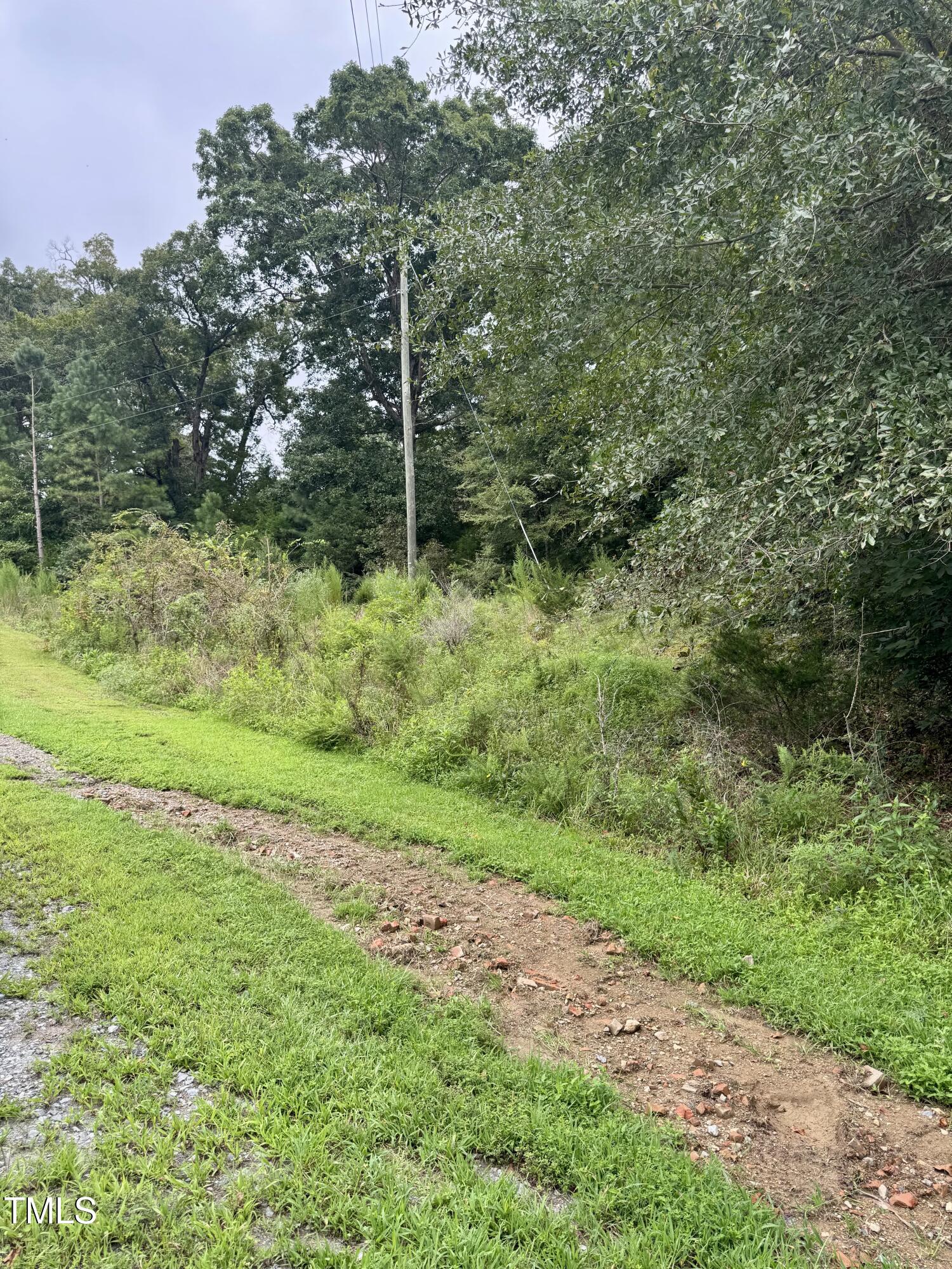 Tbd Tbd Walnut Springs Goldston, NC 27252 - Photo 11 of 28 a view of a yard with a trees