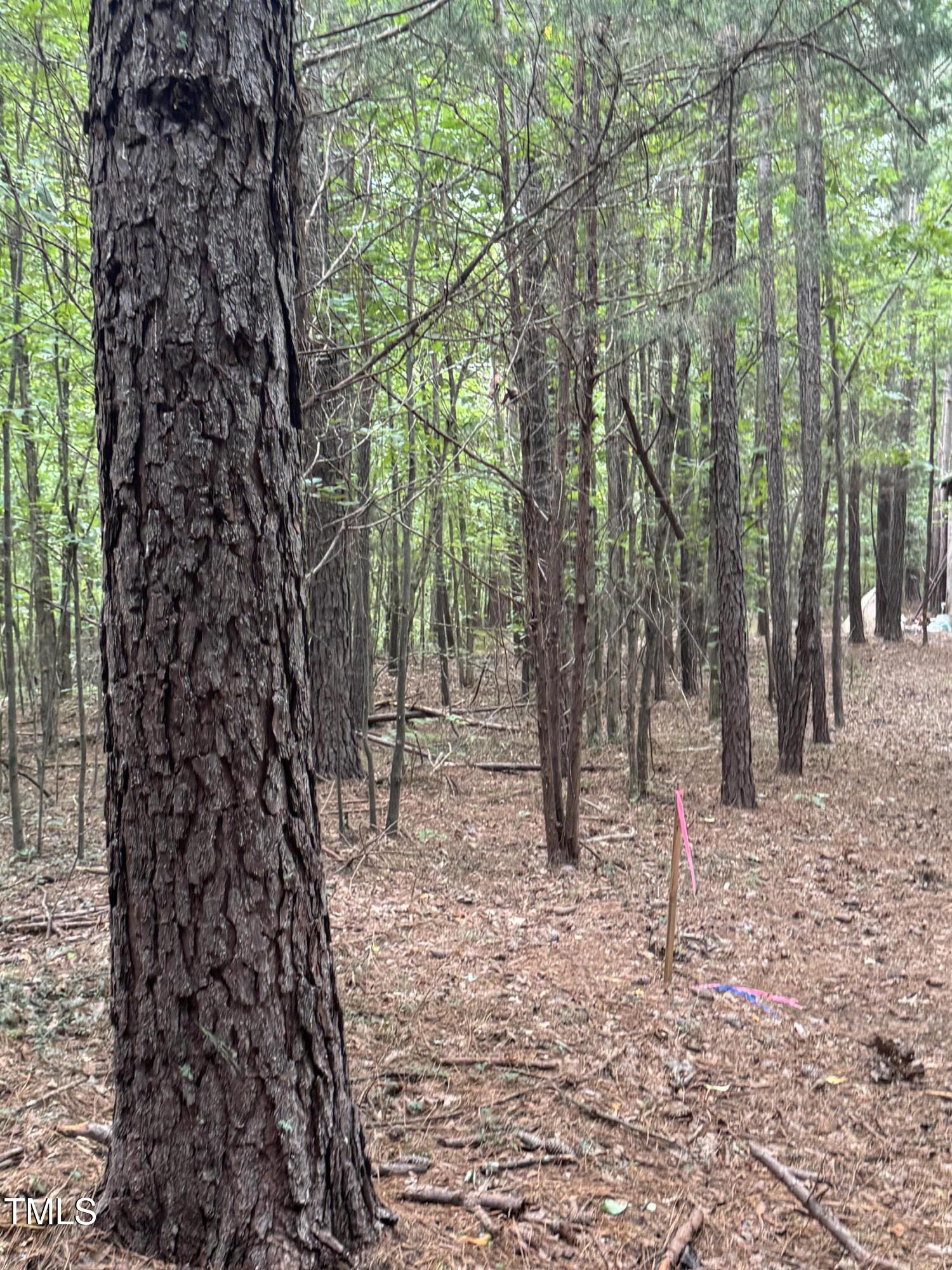 Tbd Tbd Walnut Springs Goldston, NC 27252 - Photo 12 of 28 a backyard of a house with lots of trees