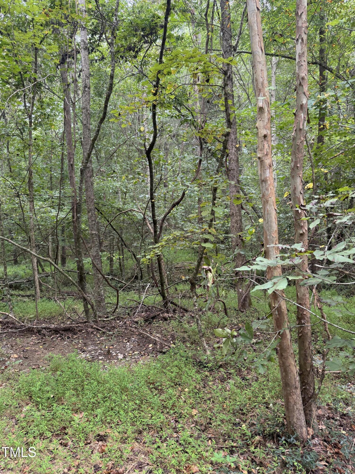 Tbd Tbd Walnut Springs Goldston, NC 27252 - Photo 16 of 28 a backyard of a house with lots of green space