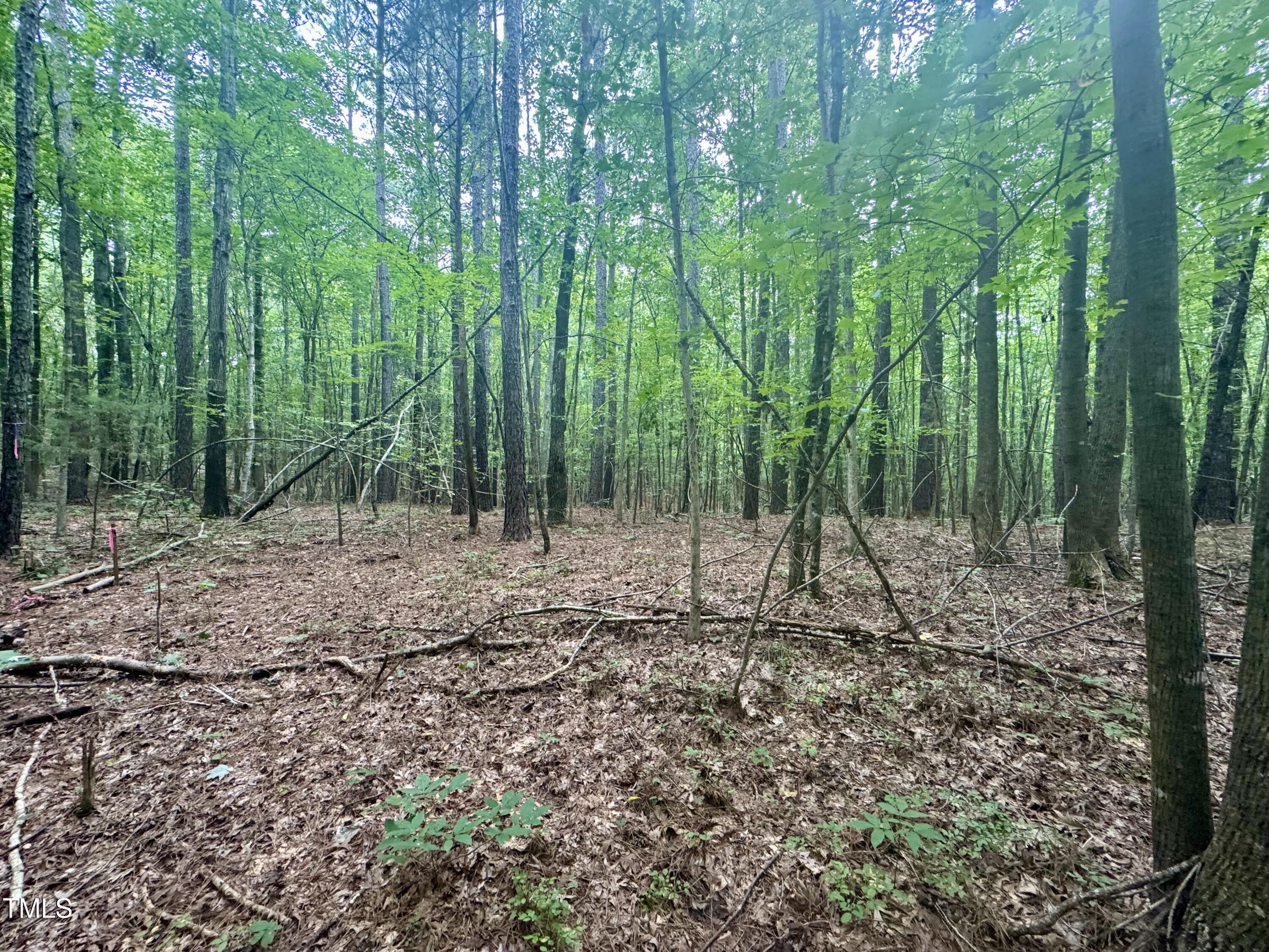 Tbd Tbd Walnut Springs Goldston, NC 27252 - Photo 20 of 28 a view of outdoor space with green space