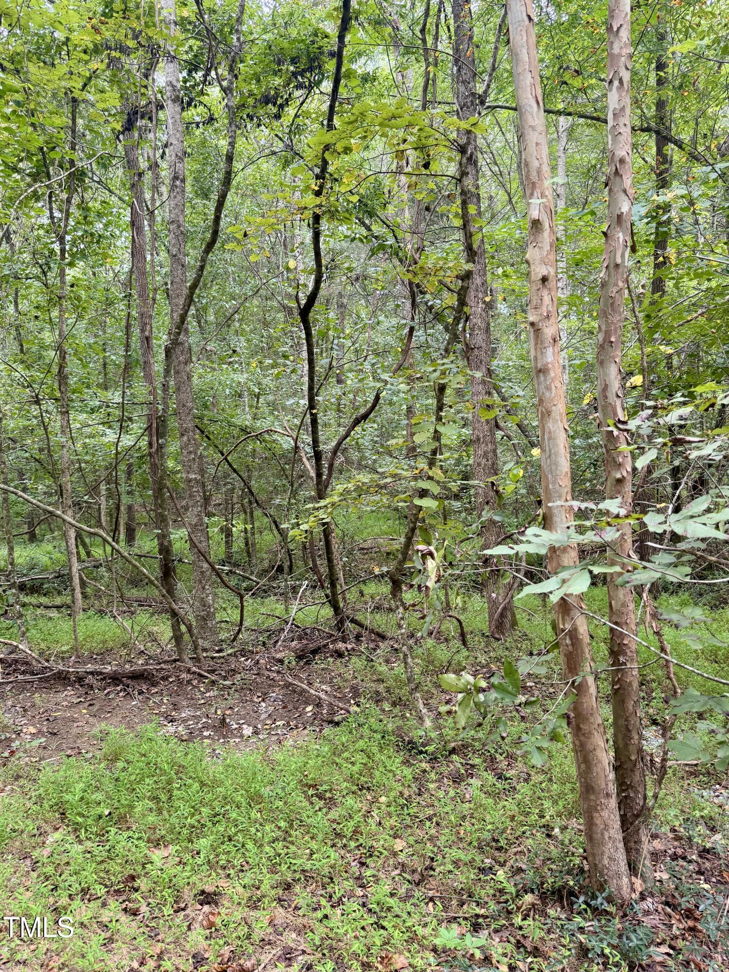 Tbd Tbd Walnut Springs Goldston, NC 27252 - Photo 25 of 28 a view of a yard