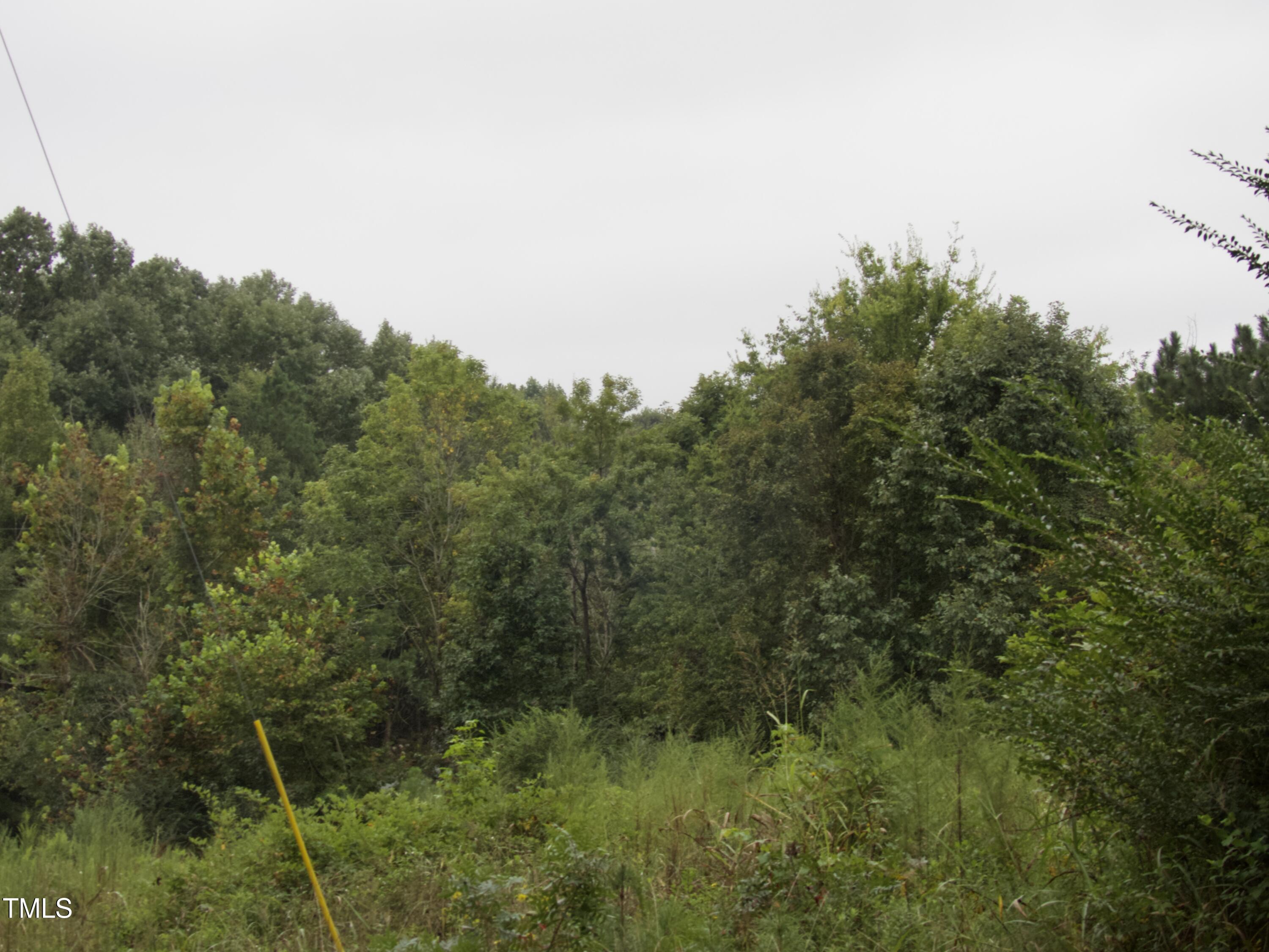 Tbd Tbd Walnut Springs Goldston, NC 27252 - Photo 27 of 28 a view of a lush green forest