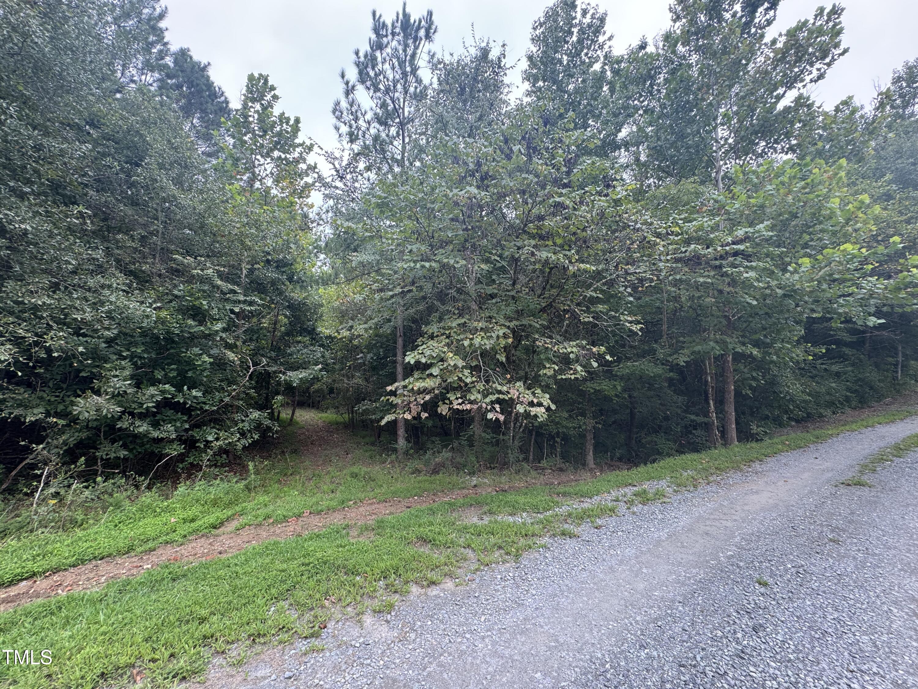Tbd Tbd Walnut Springs Goldston, NC 27252 - Photo 6 of 28 a view of a park with large trees