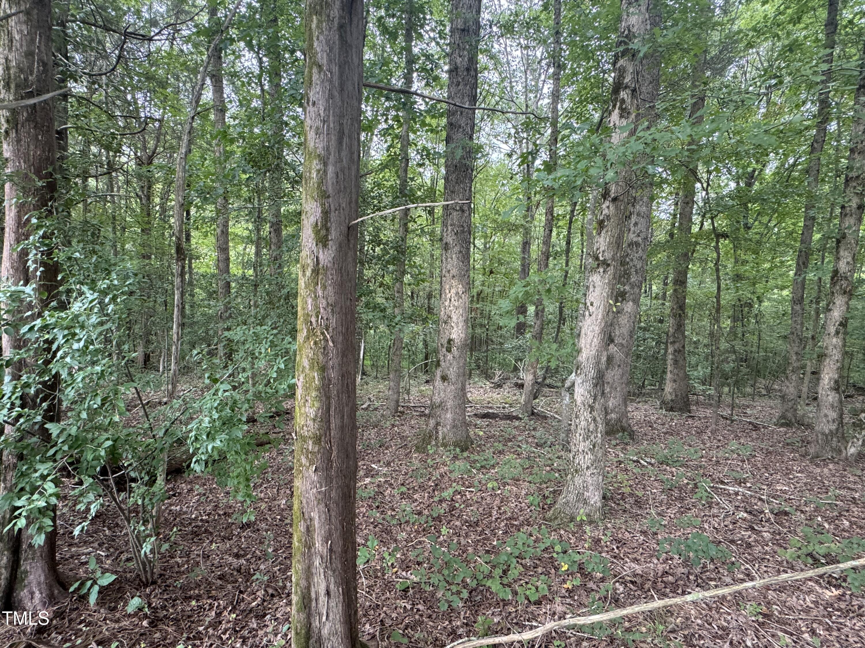 Tbd Tbd Walnut Springs Goldston, NC 27252 - Photo 10 of 28 a view of outdoor space and green space