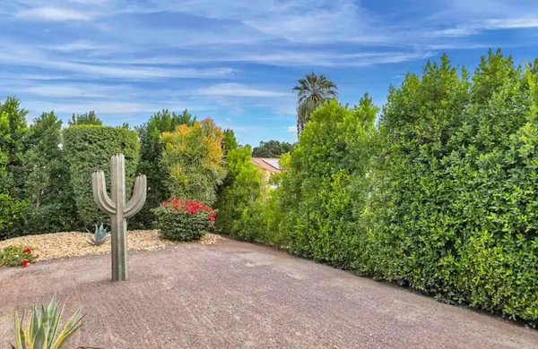 a view of a backyard