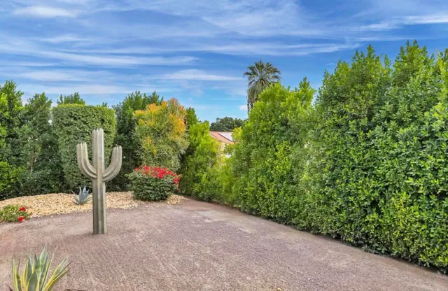 a view of a backyard