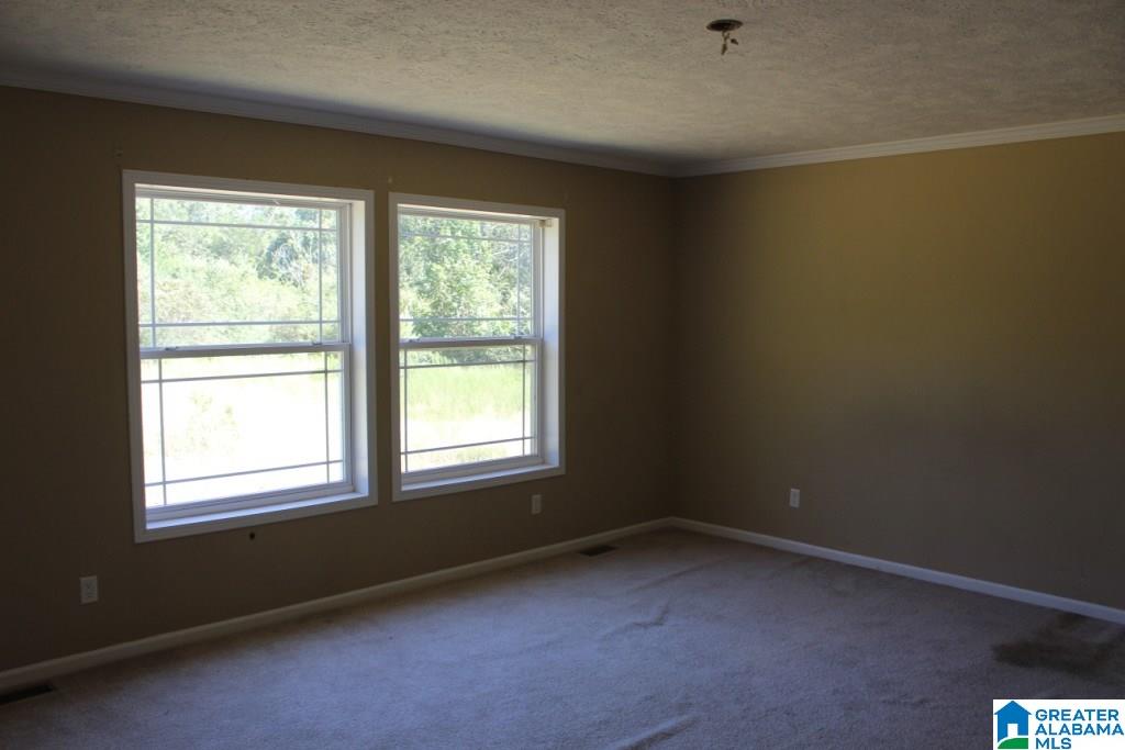 1303 Tipton Road Lincoln, AL 35096 - Photo 9 of 27