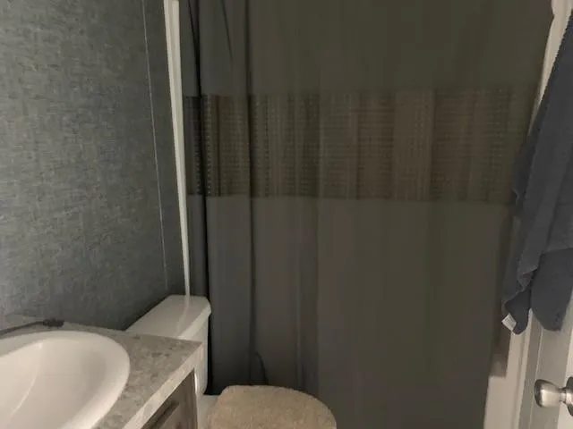 a bathroom with a sink and a toilet