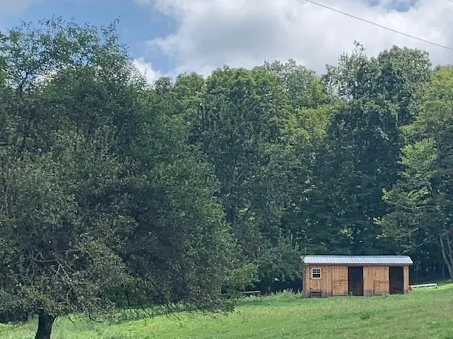 a house view with a garden space