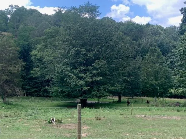 a backyard of a house with lots of green space