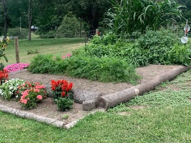 a view of a garden with a lot of flower plants and wooden fence