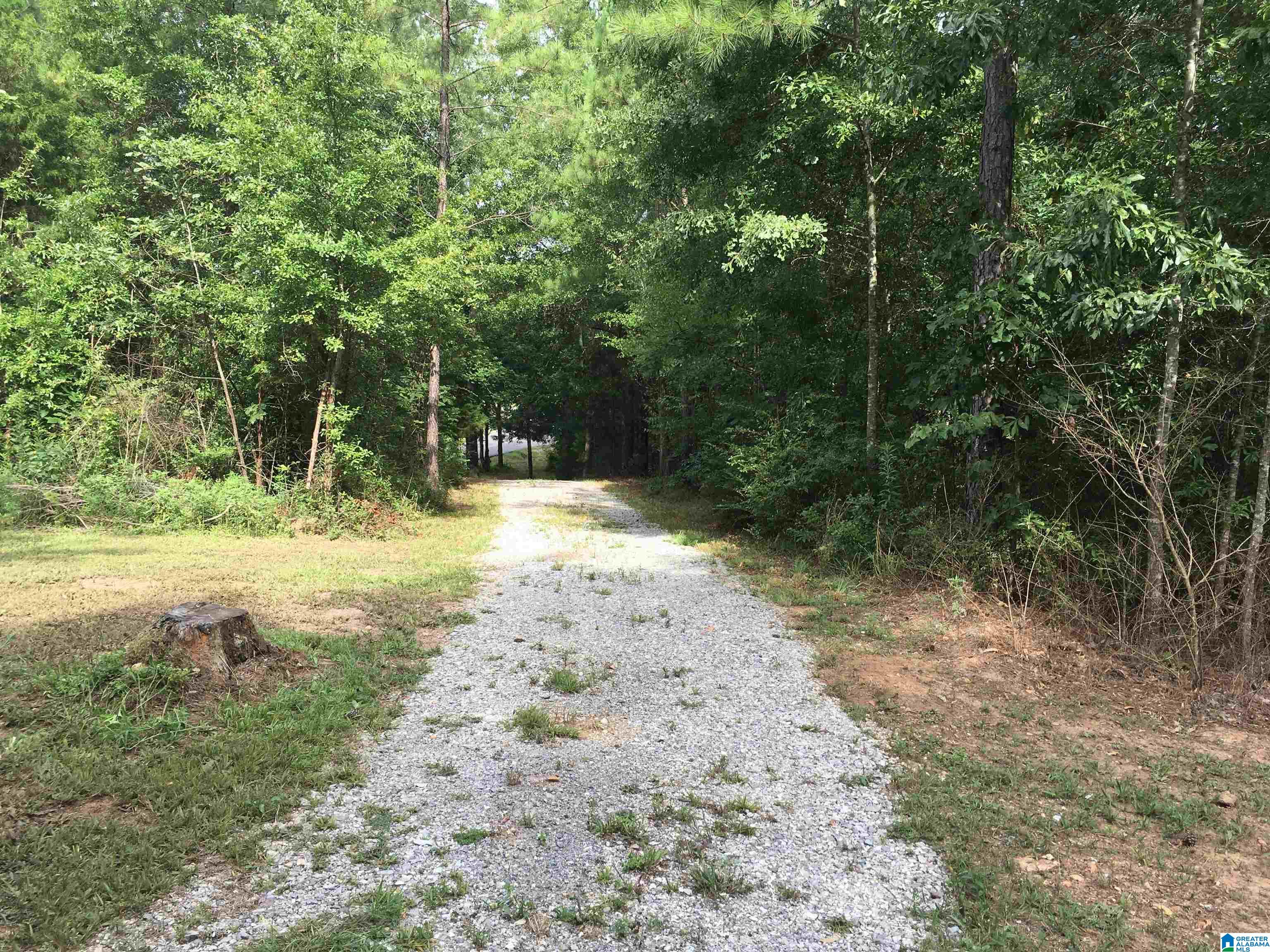 25 Whitson Road Talladega, AL 35160 - Photo 4 of 5