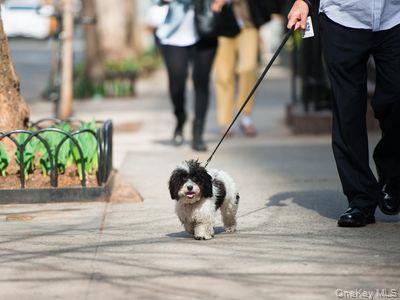 74 Prospect Street, Unit 1N Huntington, NY 11743 - Photo 12 of 14 Nearby Village
