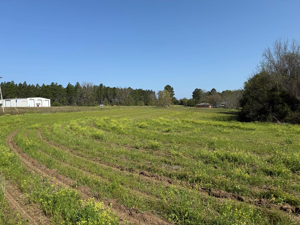 17.57-acres Red Oak Road Florala, AL 36442 - Photo 1 of 11