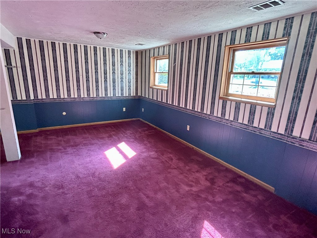399 Abbyshire Road Green, OH 44319 - Photo 33 of 48 Lower walk out level recreation room with windows and carpeted floor