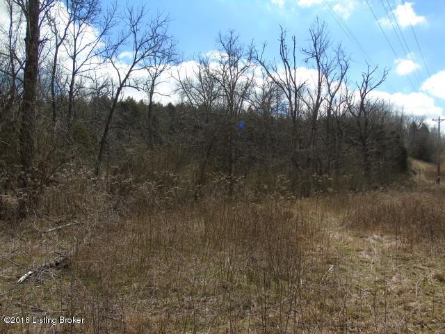 DSC05501