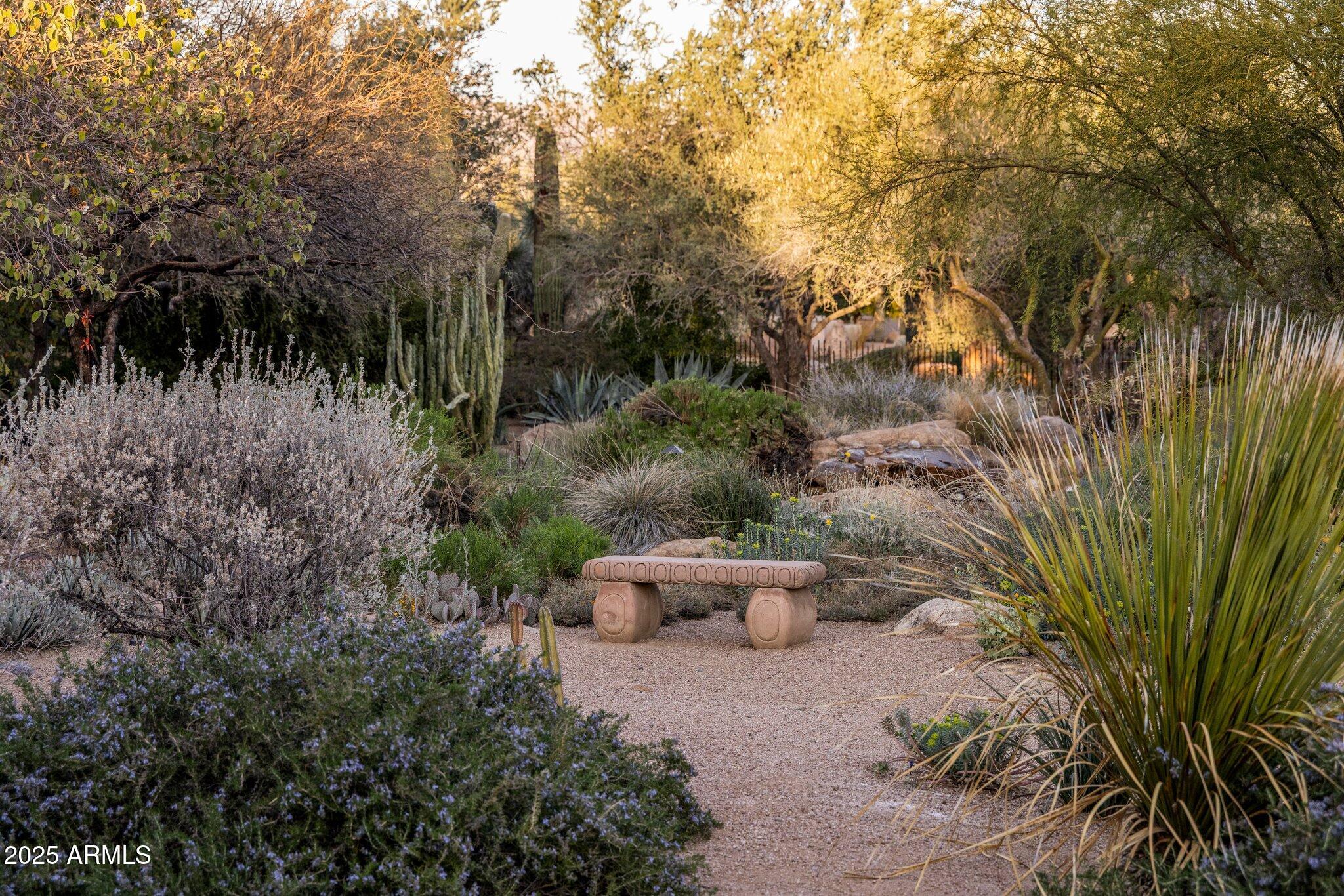25002 North Quail Haven Drive Rio Verde, AZ 85263 - Photo 51 of 71 East Garden