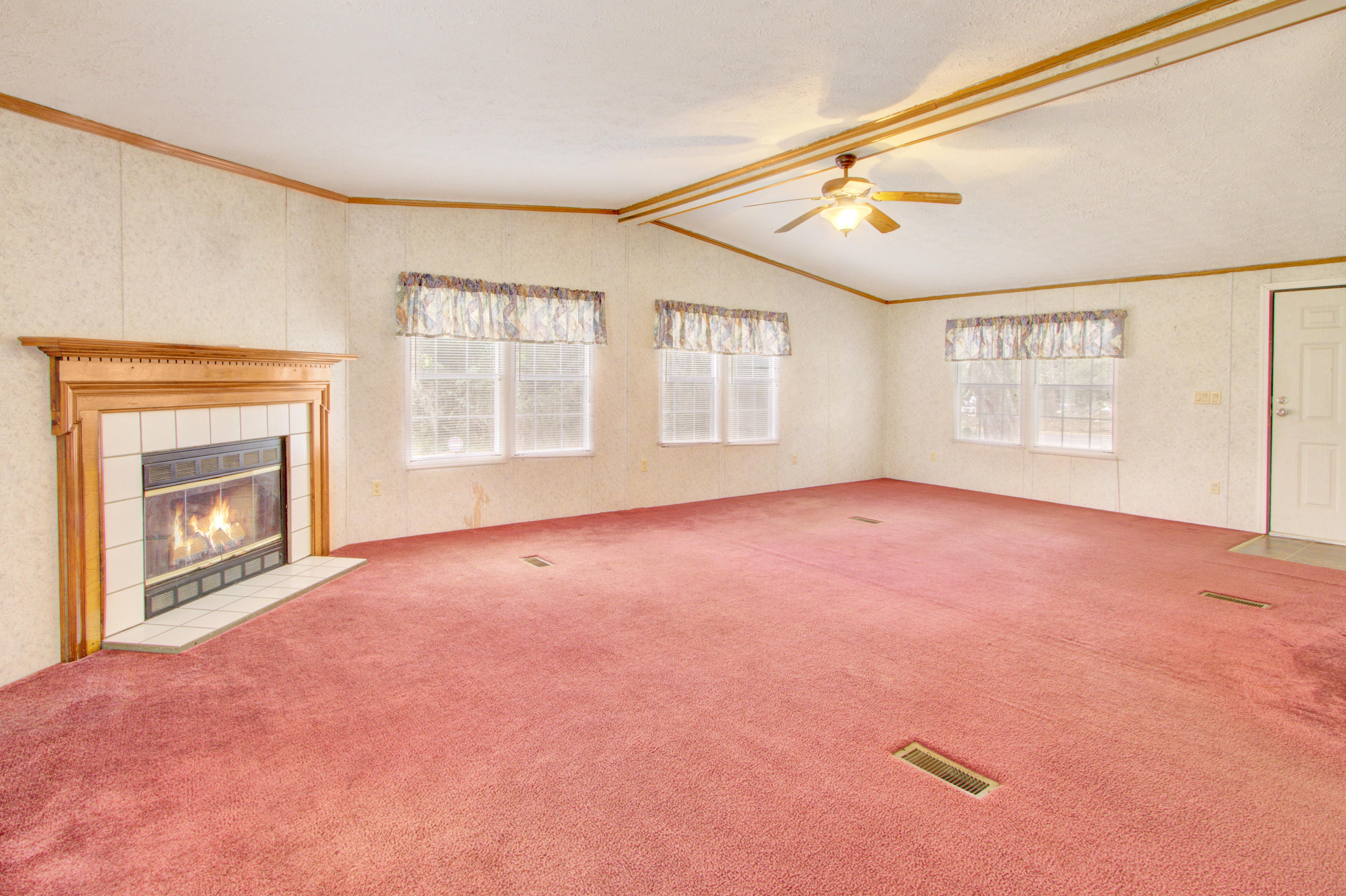 225 Rice Hope Drive Moncks Corner, SC 29461 - Photo 3 of 14 Gas fireplace