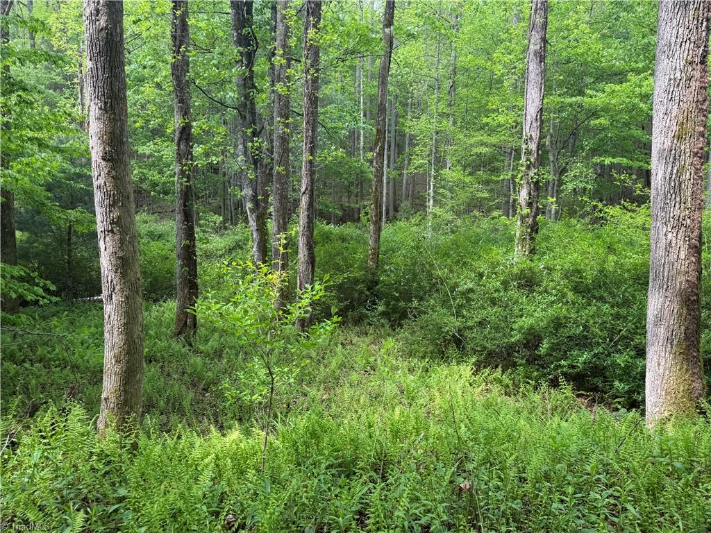 Tbd Tbd Wildcat Road Deep Gap, NC 28618 - Photo 11 of 31