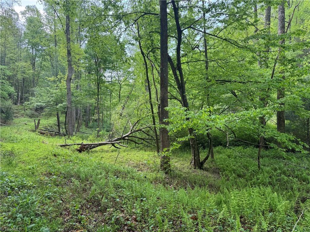 Tbd Tbd Wildcat Road Deep Gap, NC 28618 - Photo 12 of 31