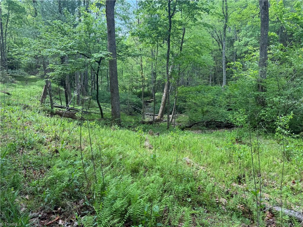 Tbd Tbd Wildcat Road Deep Gap, NC 28618 - Photo 13 of 31