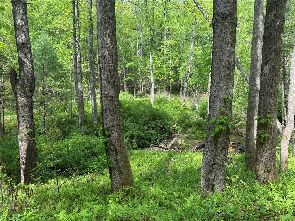 Tbd Tbd Wildcat Road Deep Gap, NC 28618 - Photo 14 of 31