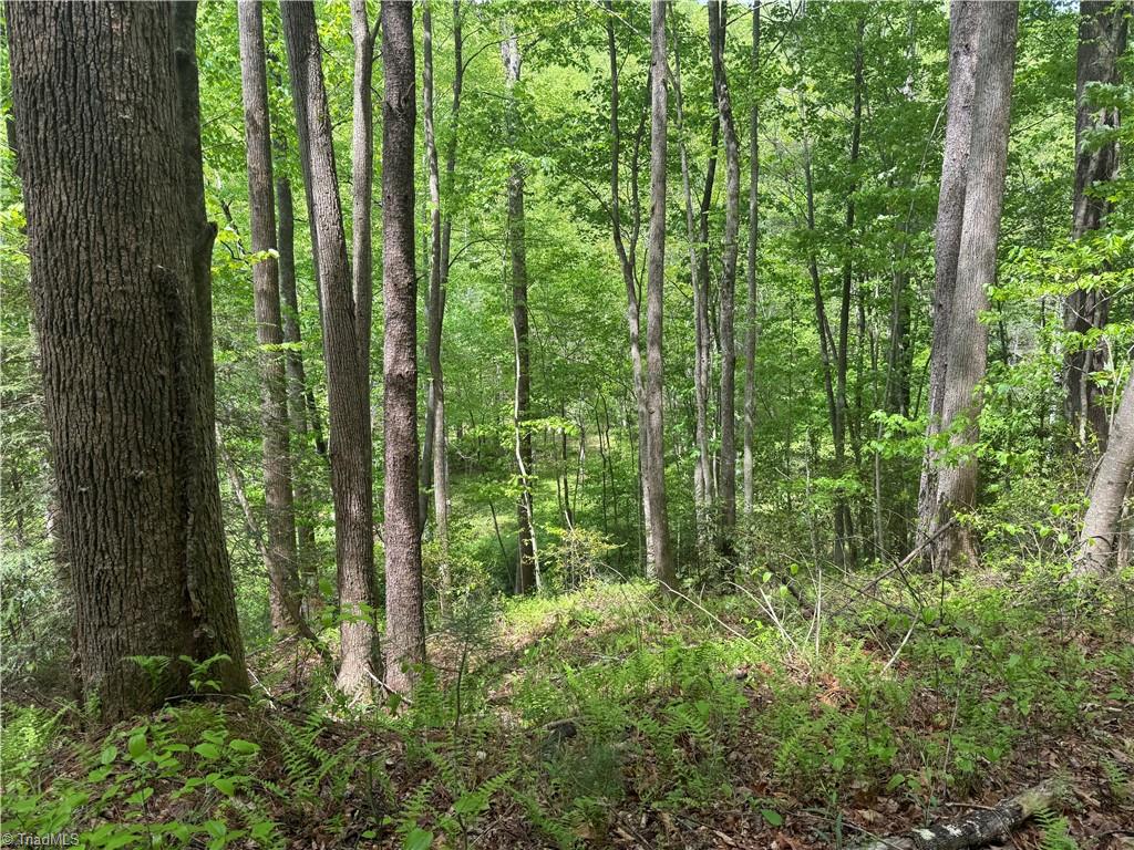 Tbd Tbd Wildcat Road Deep Gap, NC 28618 - Photo 15 of 31