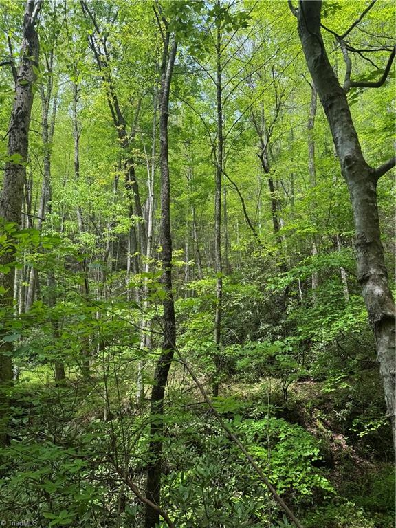 Tbd Tbd Wildcat Road Deep Gap, NC 28618 - Photo 17 of 31