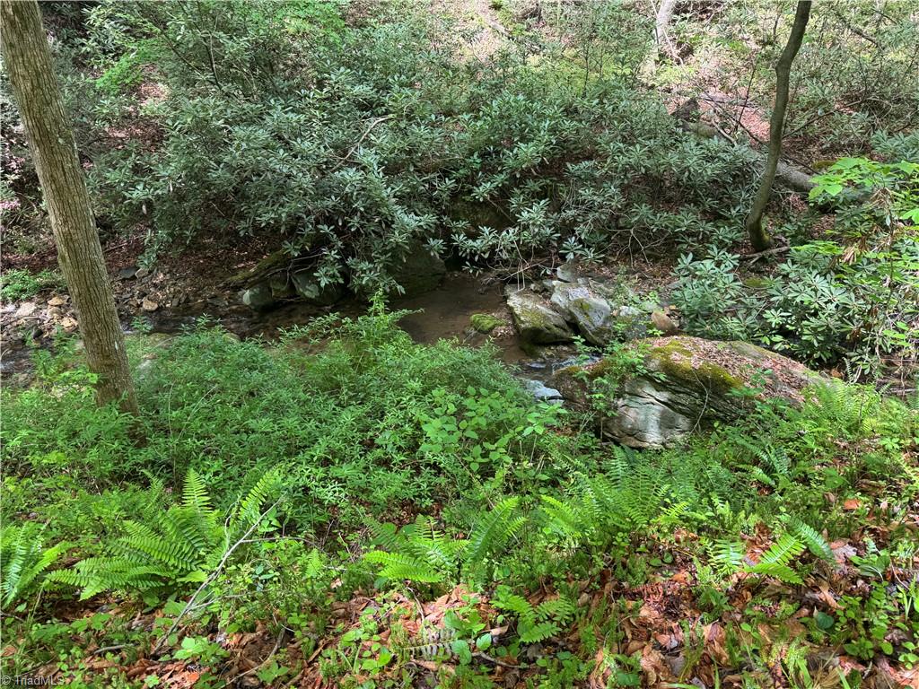 Tbd Tbd Wildcat Road Deep Gap, NC 28618 - Photo 18 of 31