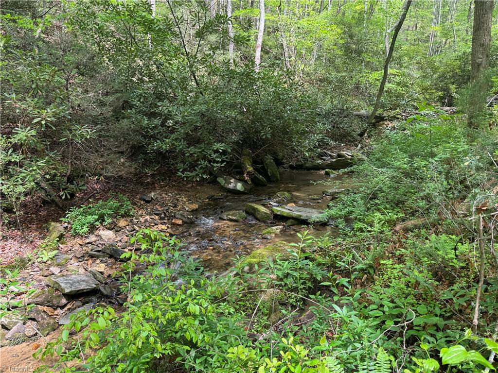 Tbd Tbd Wildcat Road Deep Gap, NC 28618 - Photo 19 of 31