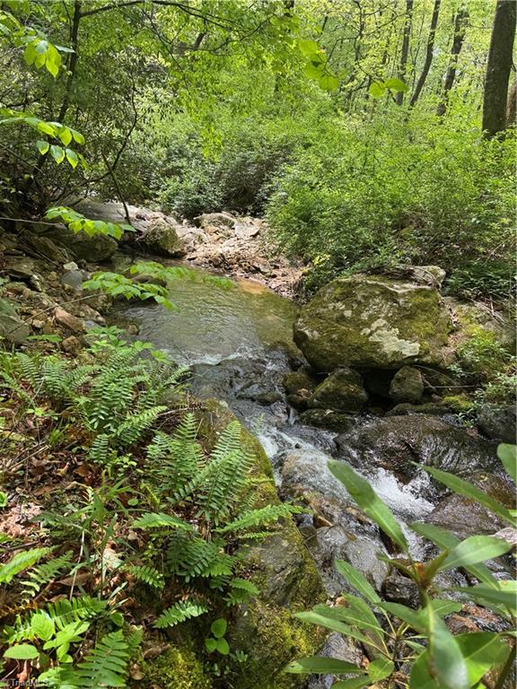 Tbd Tbd Wildcat Road Deep Gap, NC 28618 - Photo 20 of 31