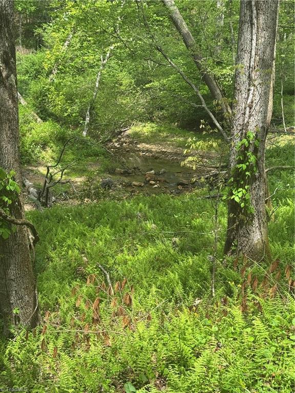 Tbd Tbd Wildcat Road Deep Gap, NC 28618 - Photo 21 of 31