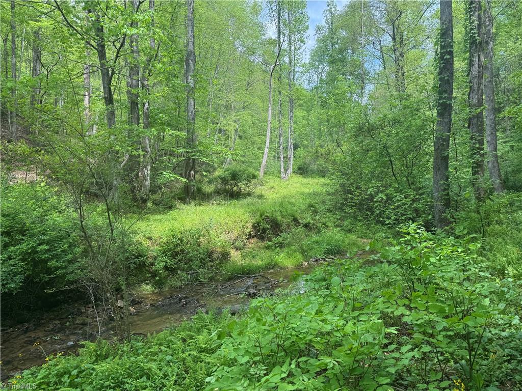 Tbd Tbd Wildcat Road Deep Gap, NC 28618 - Photo 22 of 31