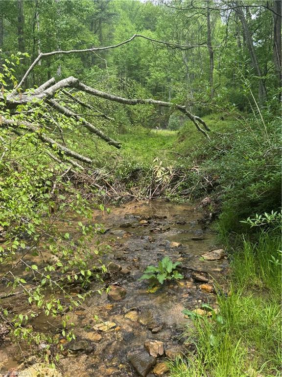 Tbd Tbd Wildcat Road Deep Gap, NC 28618 - Photo 23 of 31