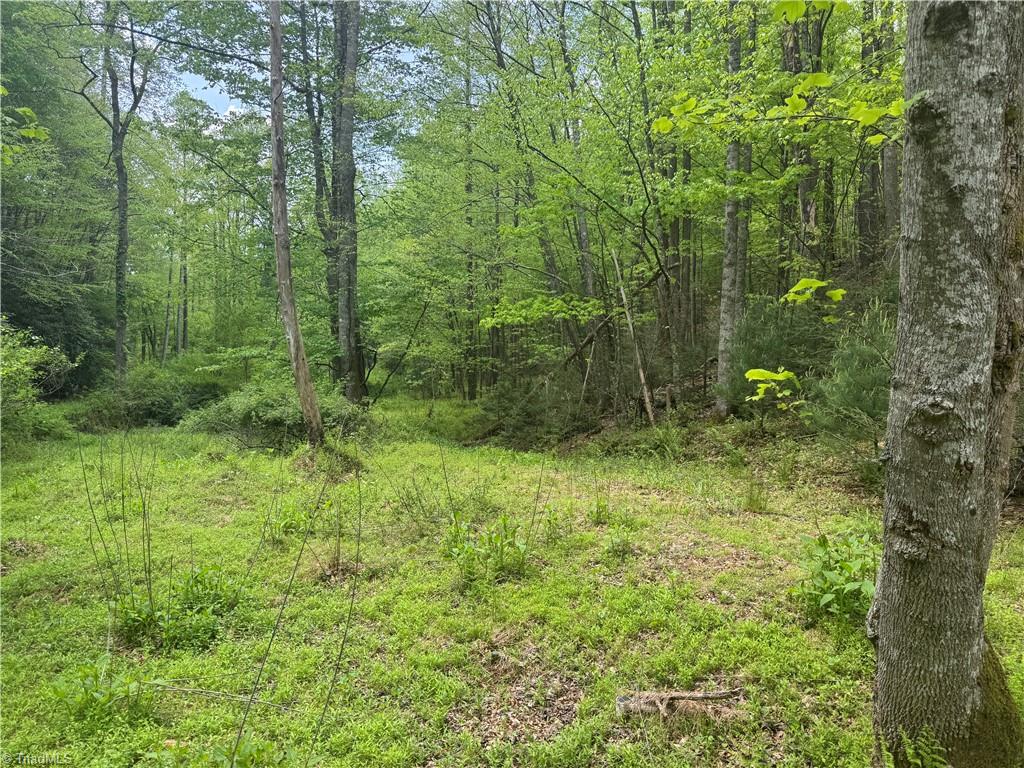 Tbd Tbd Wildcat Road Deep Gap, NC 28618 - Photo 24 of 31