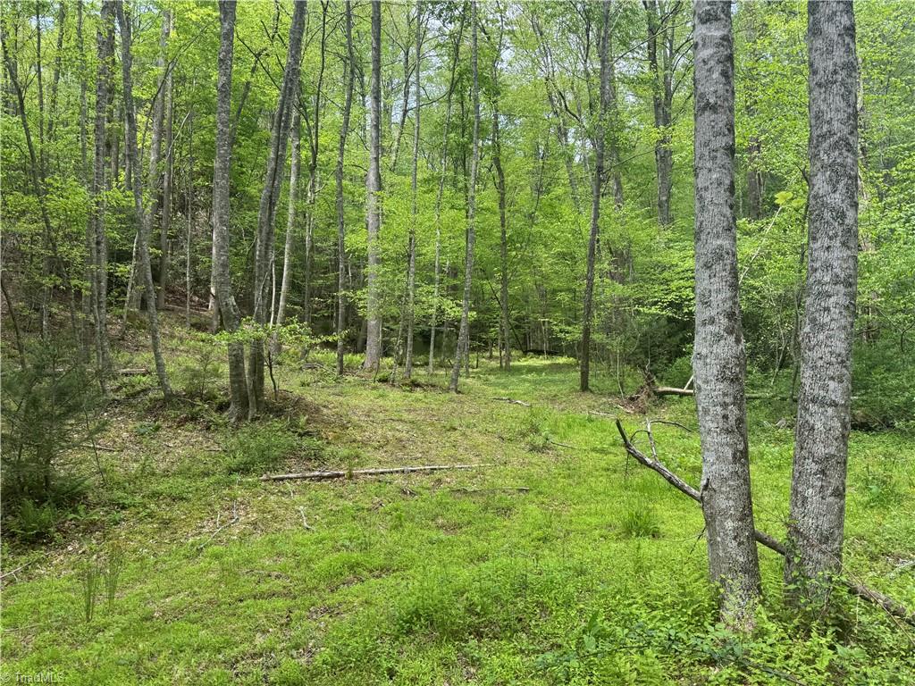 Tbd Tbd Wildcat Road Deep Gap, NC 28618 - Photo 25 of 31