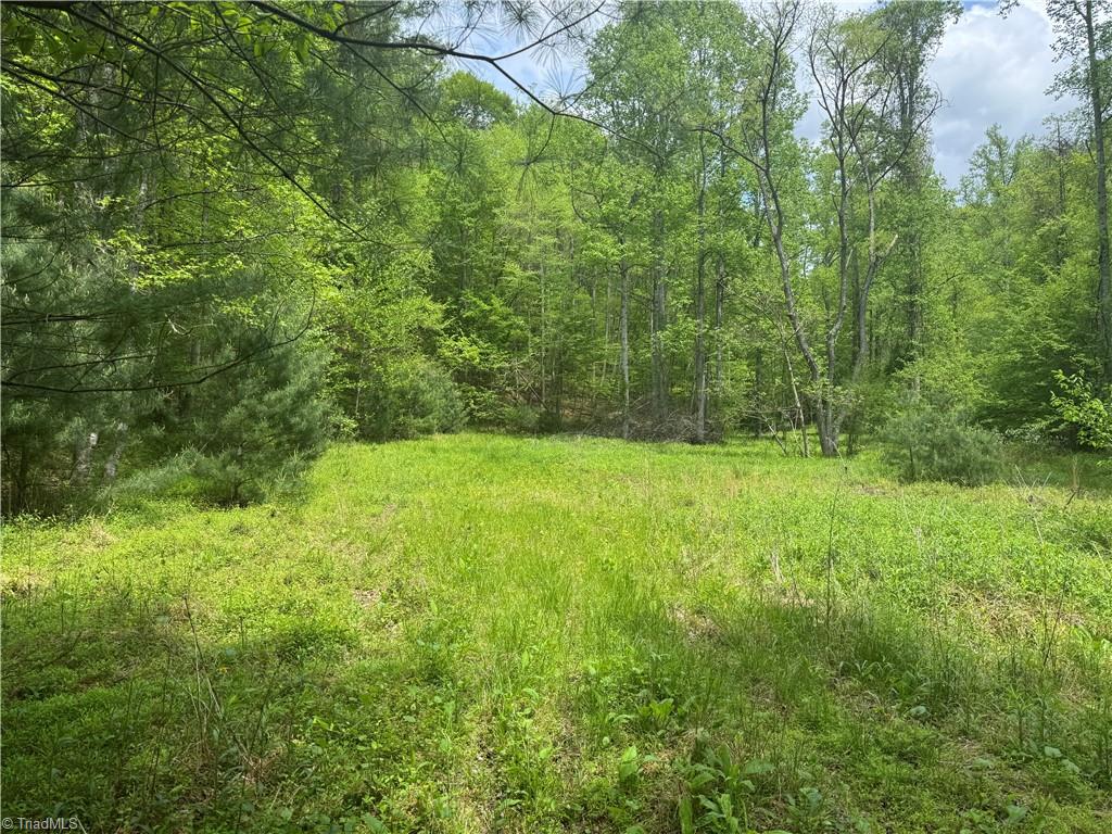 Tbd Tbd Wildcat Road Deep Gap, NC 28618 - Photo 29 of 31