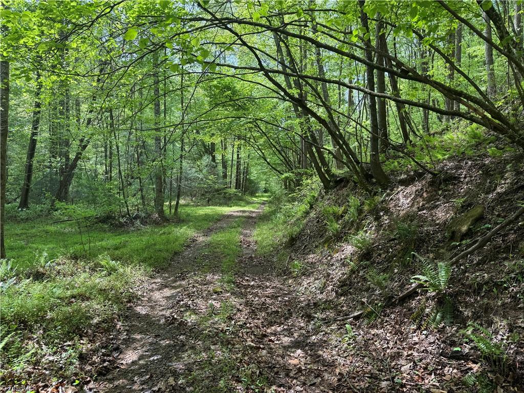 Tbd Tbd Wildcat Road Deep Gap, NC 28618 - Photo 3 of 31